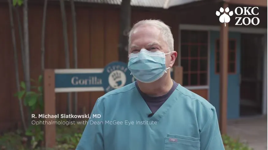 Dean McGee Eye Institute’s Specialist Provides Visual Exam for OKC Zoo’s Senior Chimp, Cindy | Central Oklahoma Children’s Directory